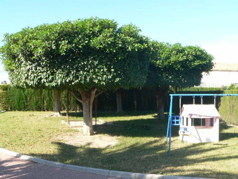 inmovilla-2767819-17