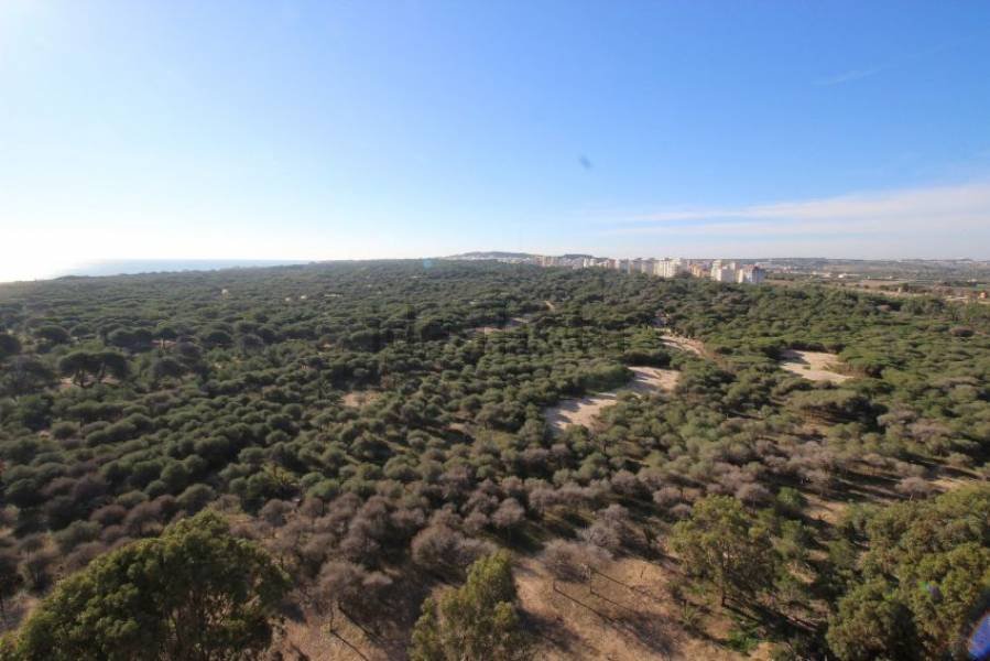 inmovilla-3280918-5