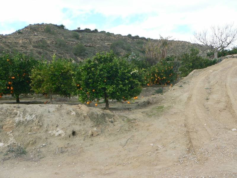 inmovilla-3592639-2