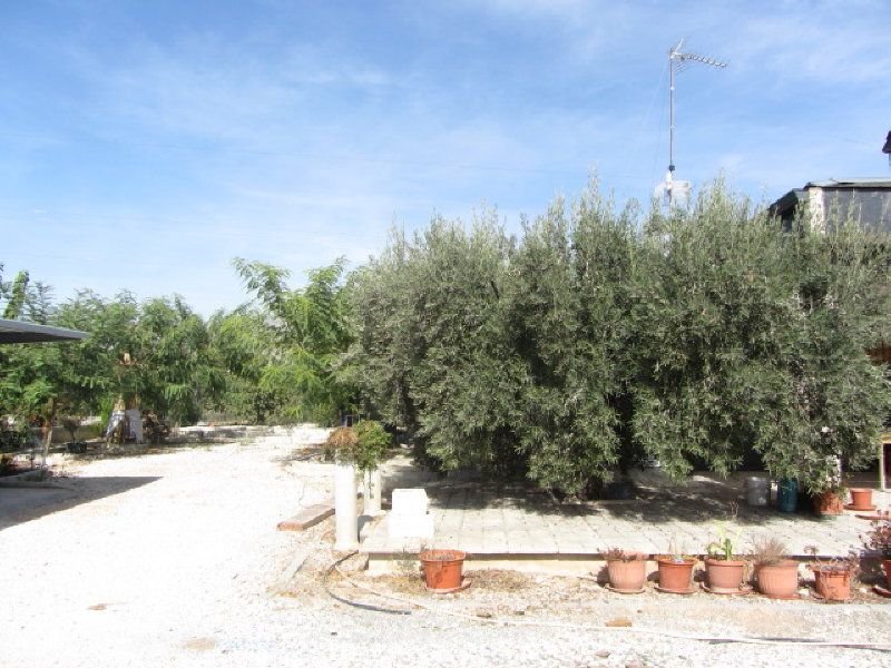 inmovilla-4360835-4