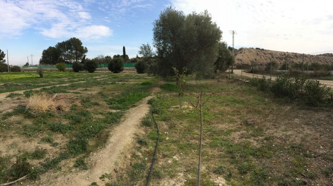 inmovilla-4720416-25