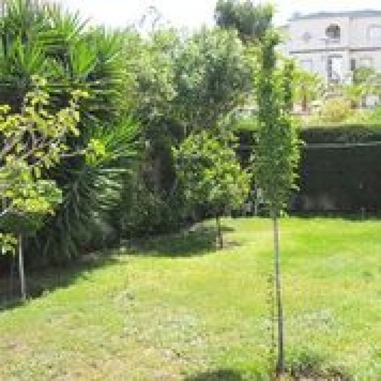 inmovilla-5153585-3