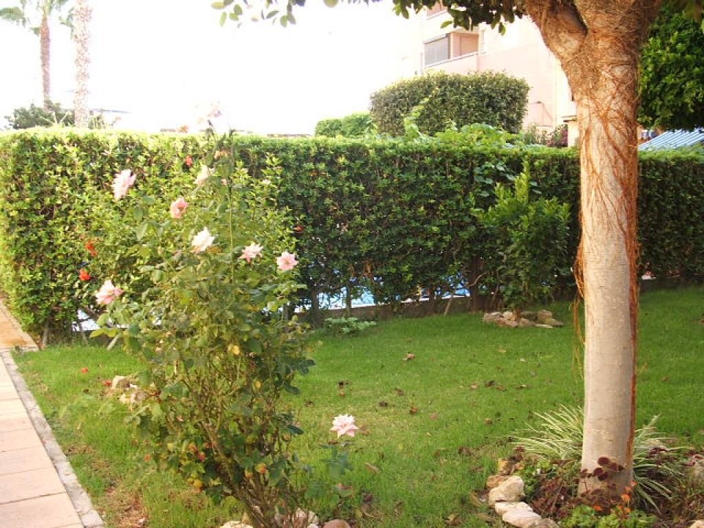 inmovilla-5652520-23