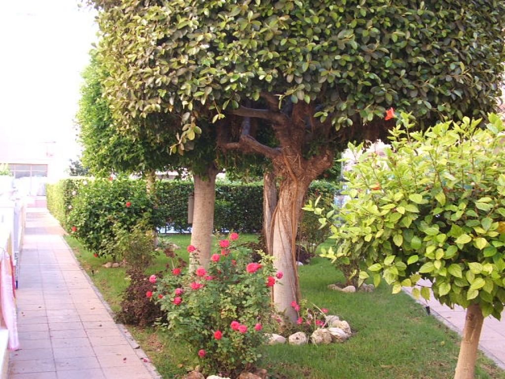 inmovilla-5652520-24