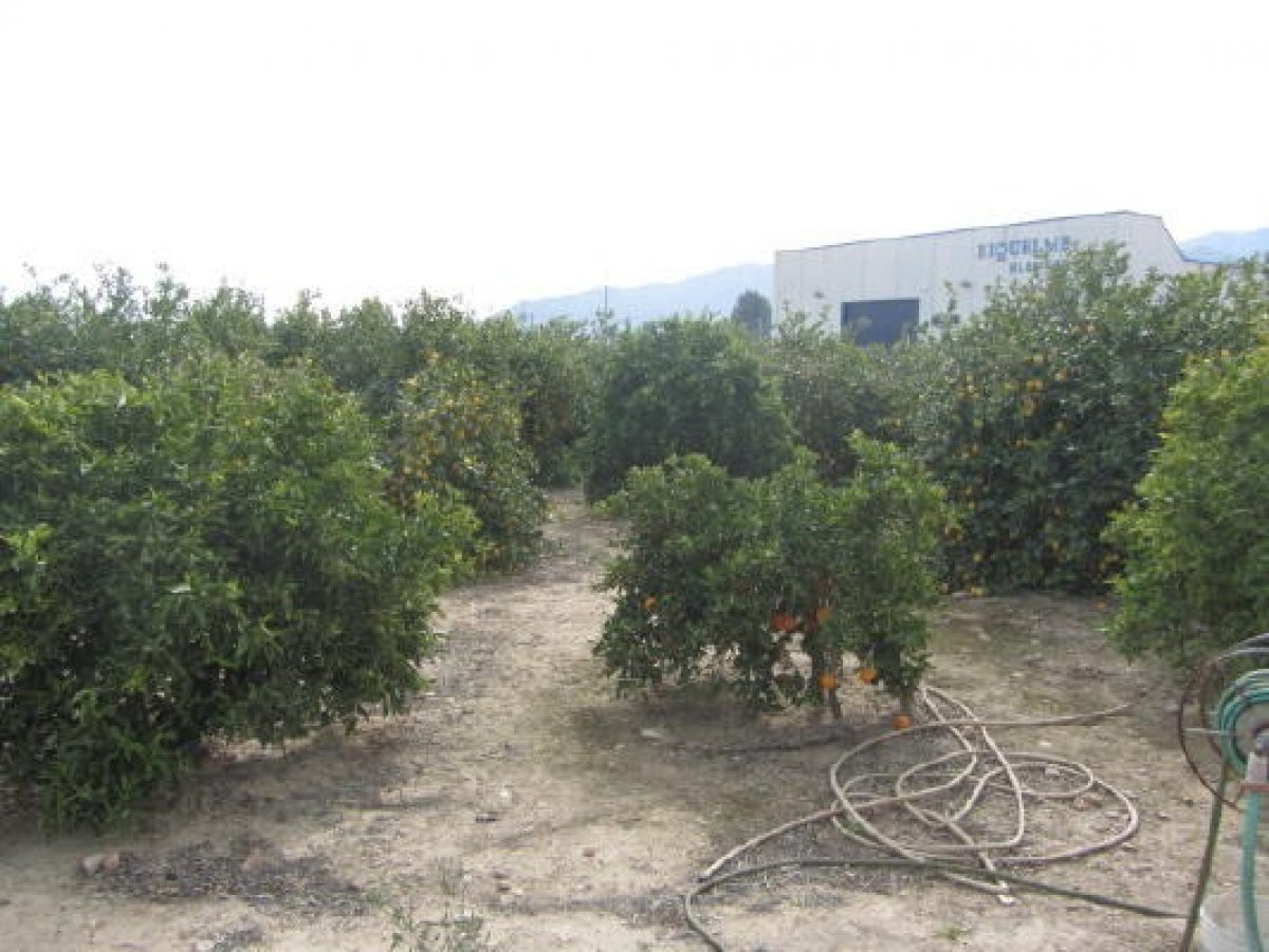inmovilla-6335562-7