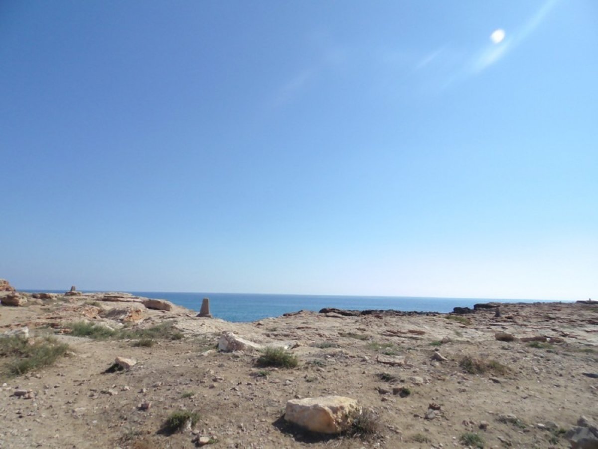 inmovilla-6371576-2