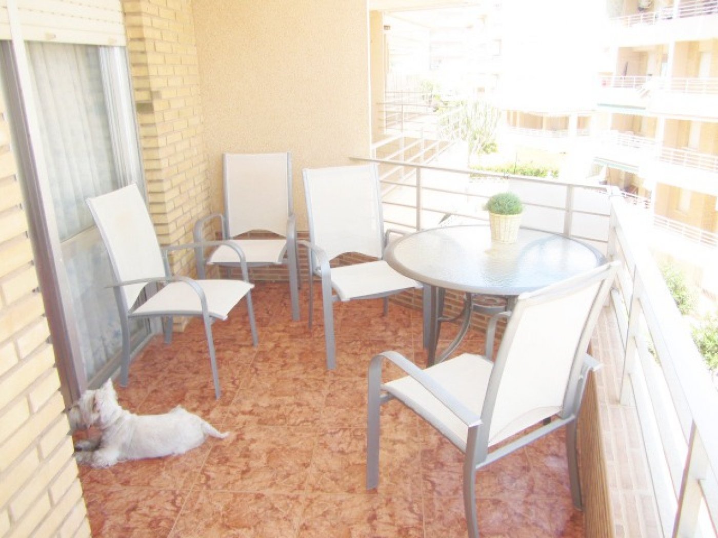 inmovilla-6851193-2
