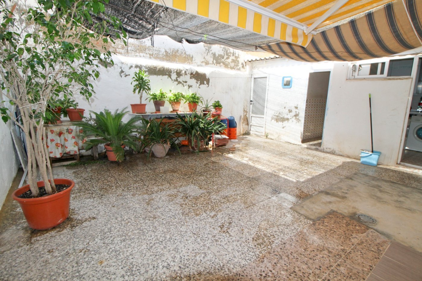 inmovilla-6854024-9