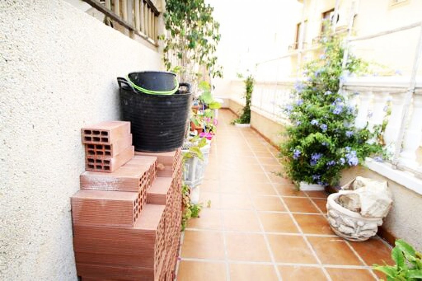 inmovilla-6873482-33