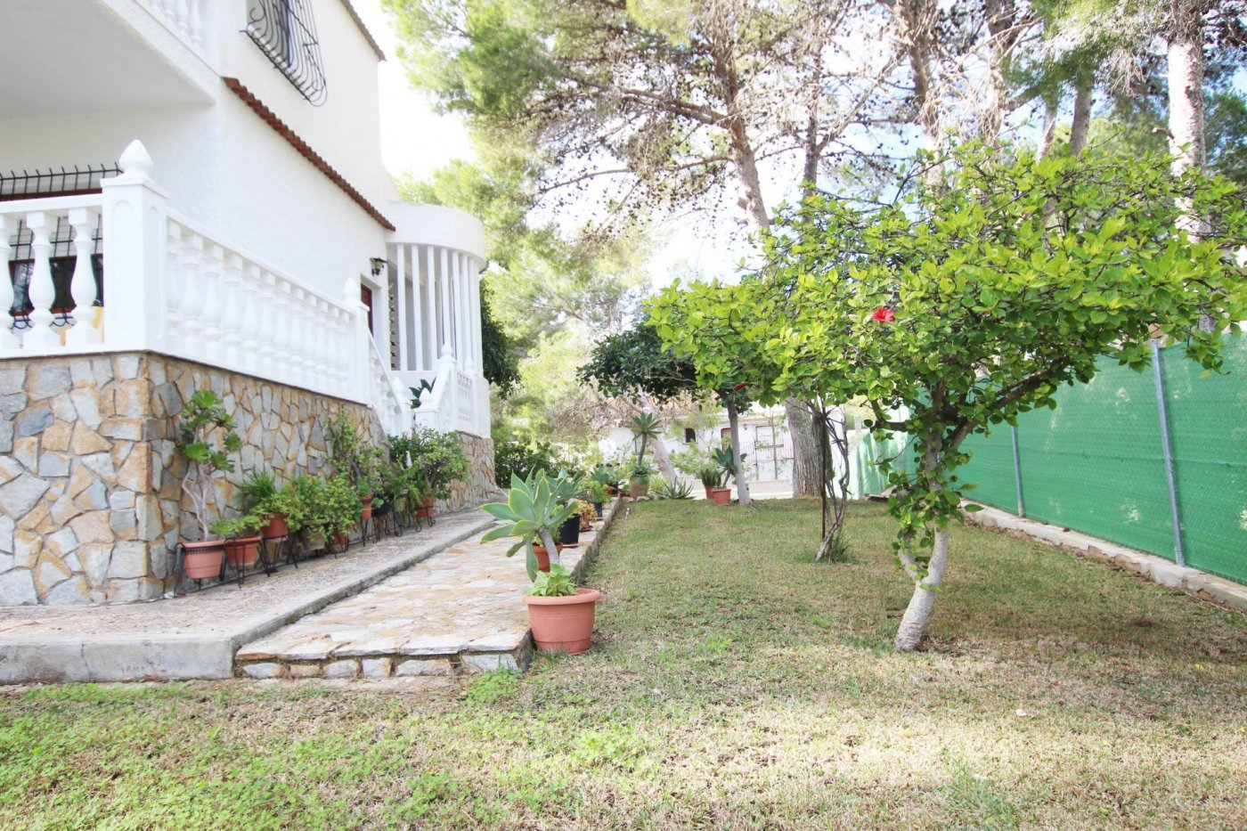 inmovilla-7378481-6