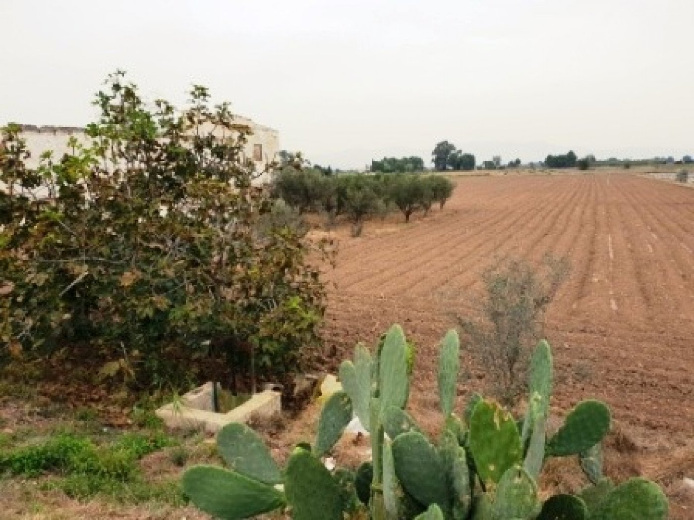 inmovilla-7422891-2