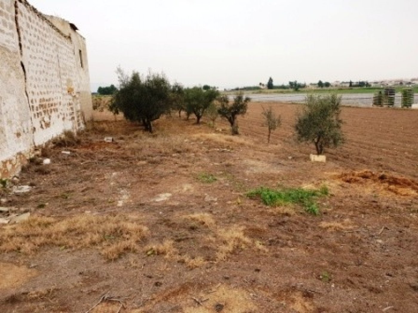 inmovilla-7422891-3