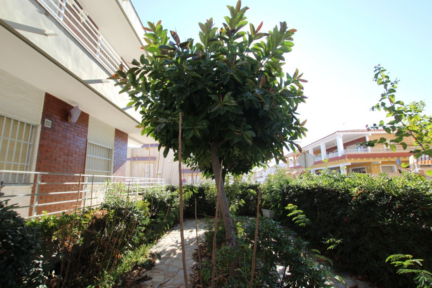 inmovilla-7516387-19