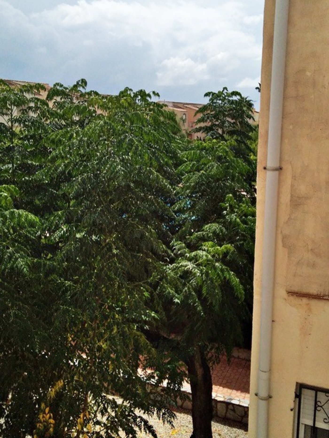 inmovilla-7669603-11