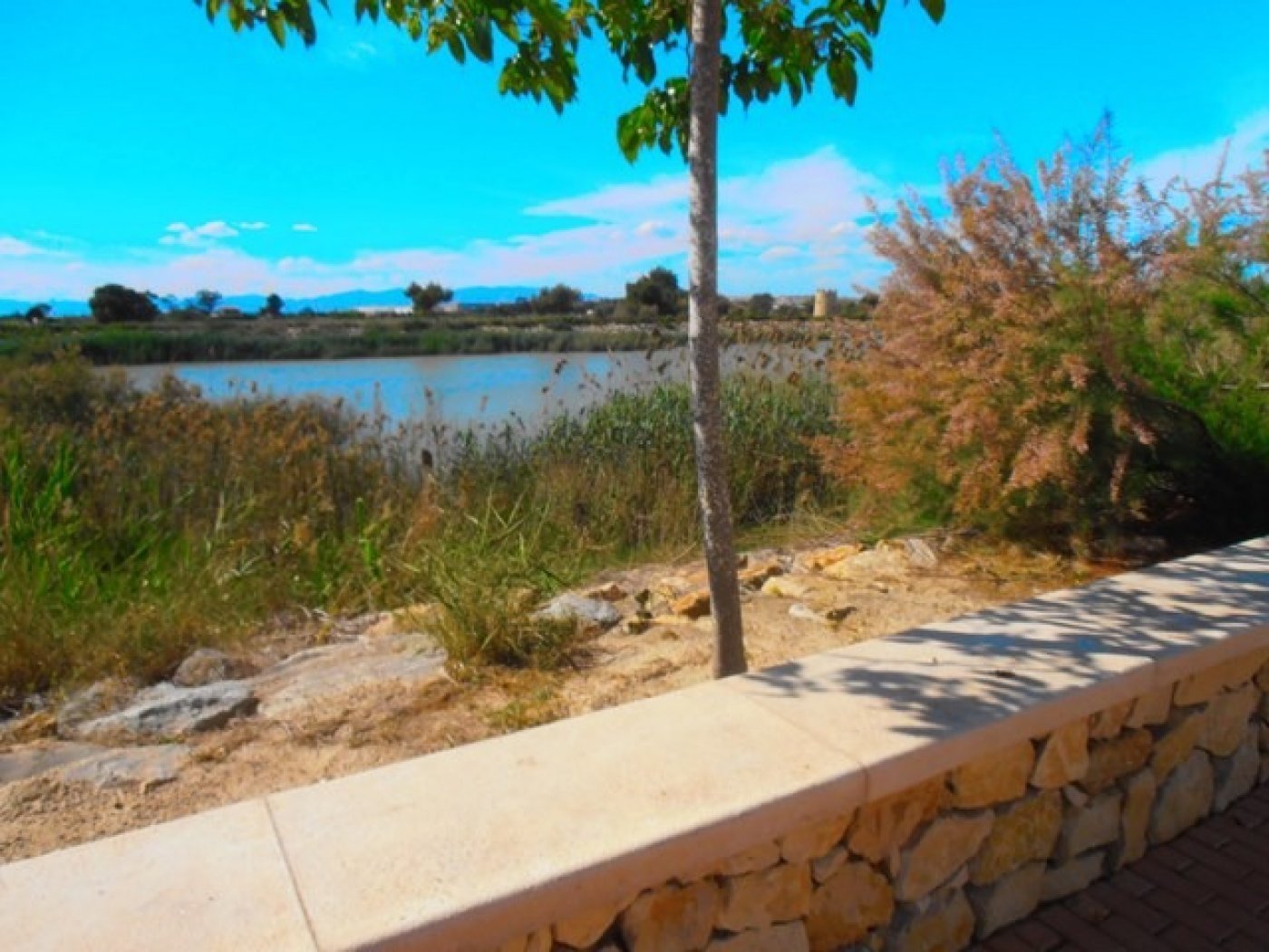 inmovilla-7685332-24