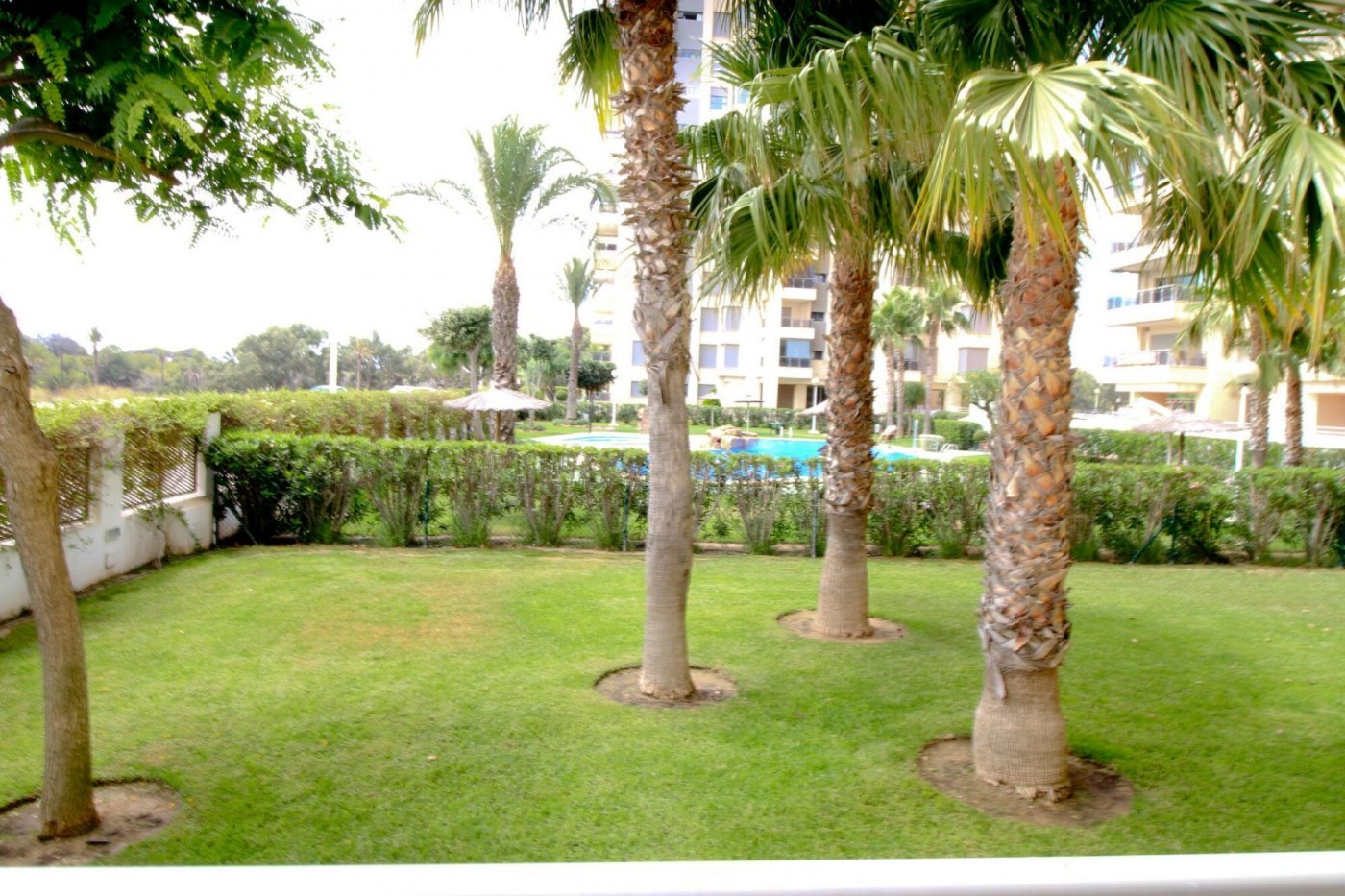 inmovilla-8017667-39