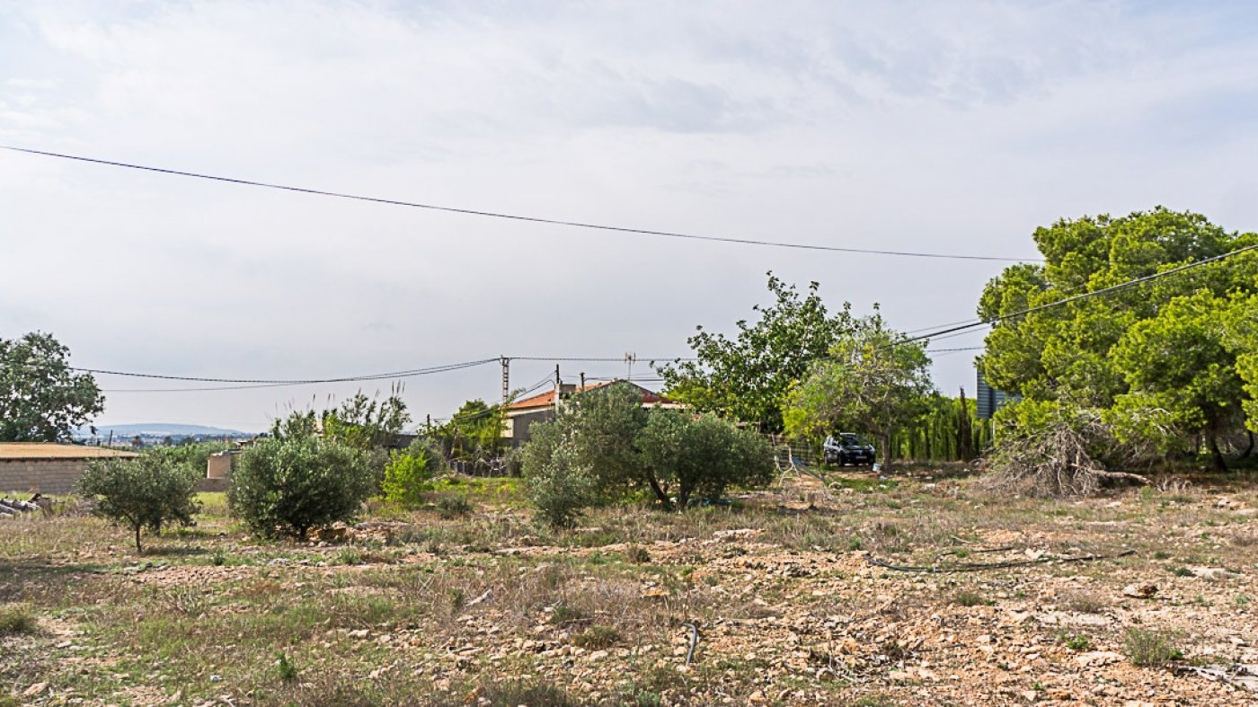 inmovilla-9291414-13