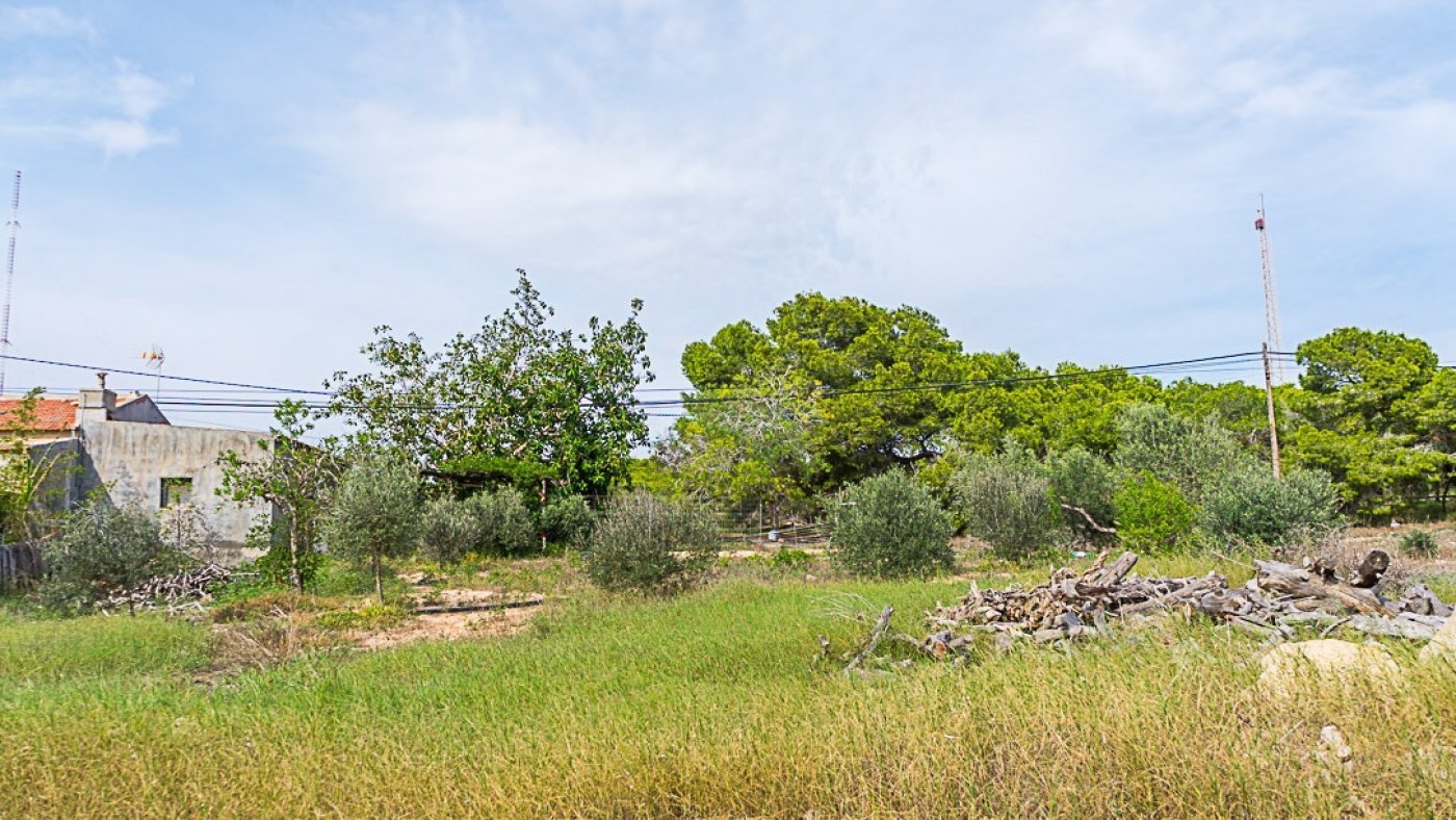 inmovilla-9291414-7