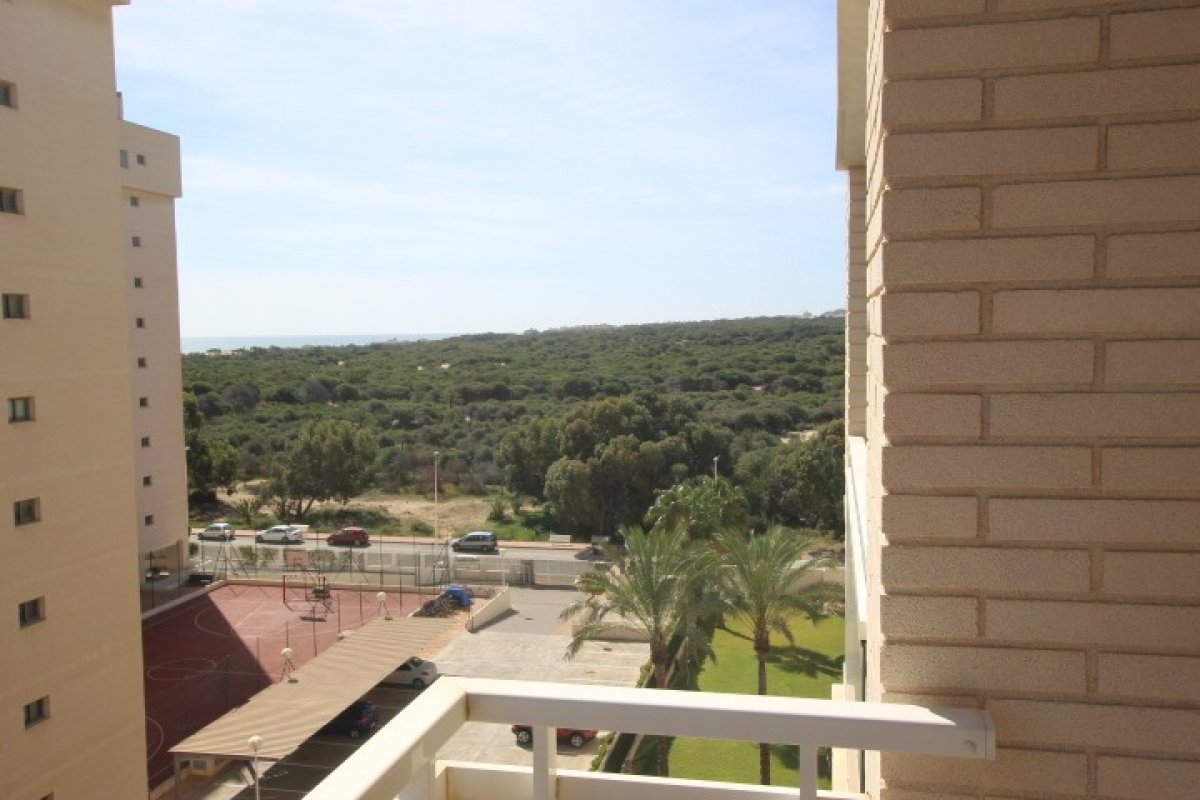 inmovilla-9663469-13