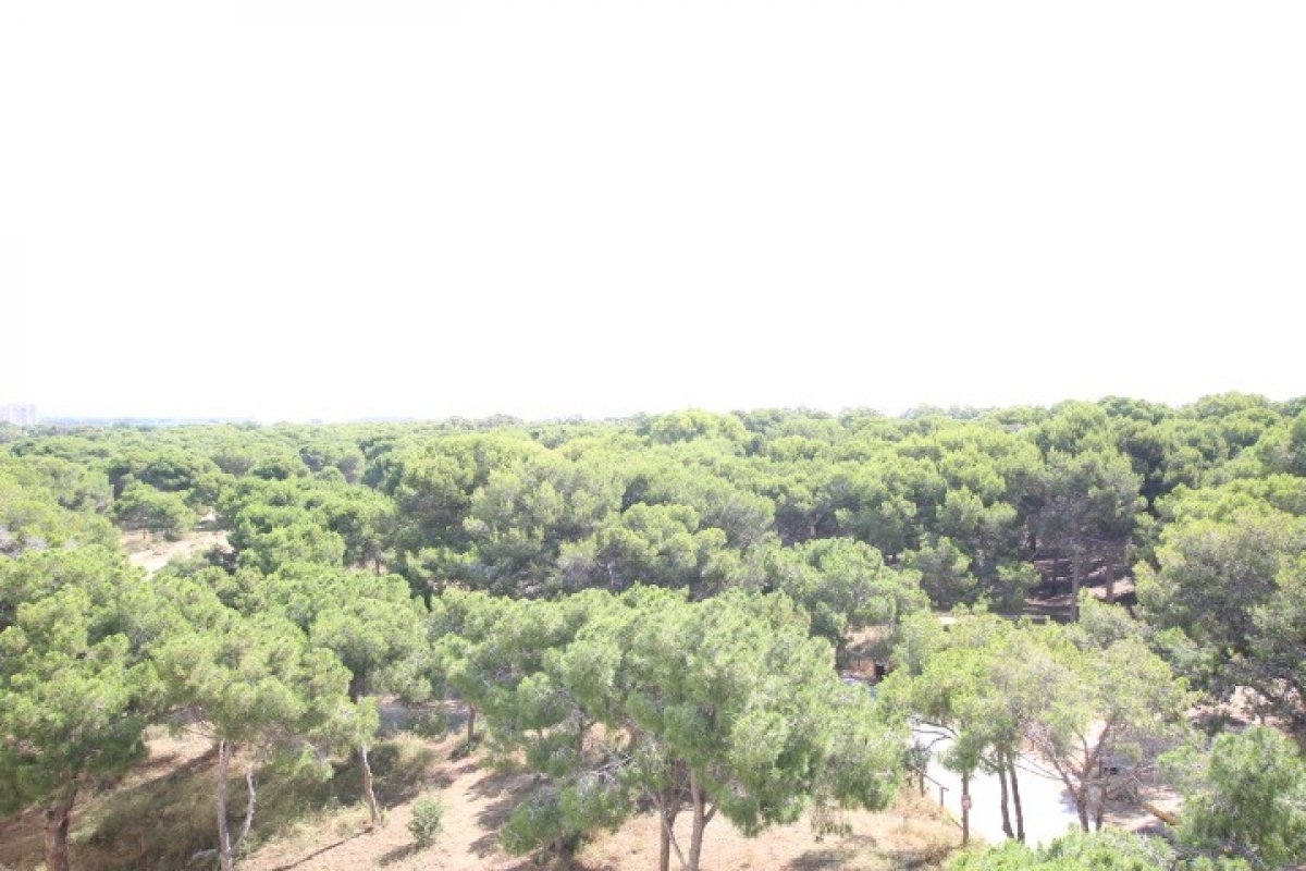 inmovilla-6749041-17