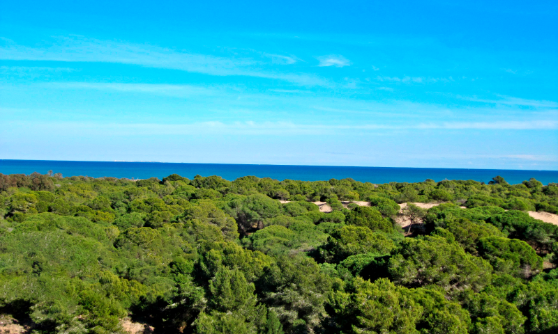 inmovilla-10288892-21