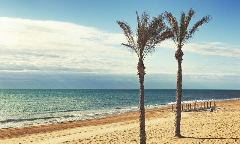 inmovilla-10288892-22