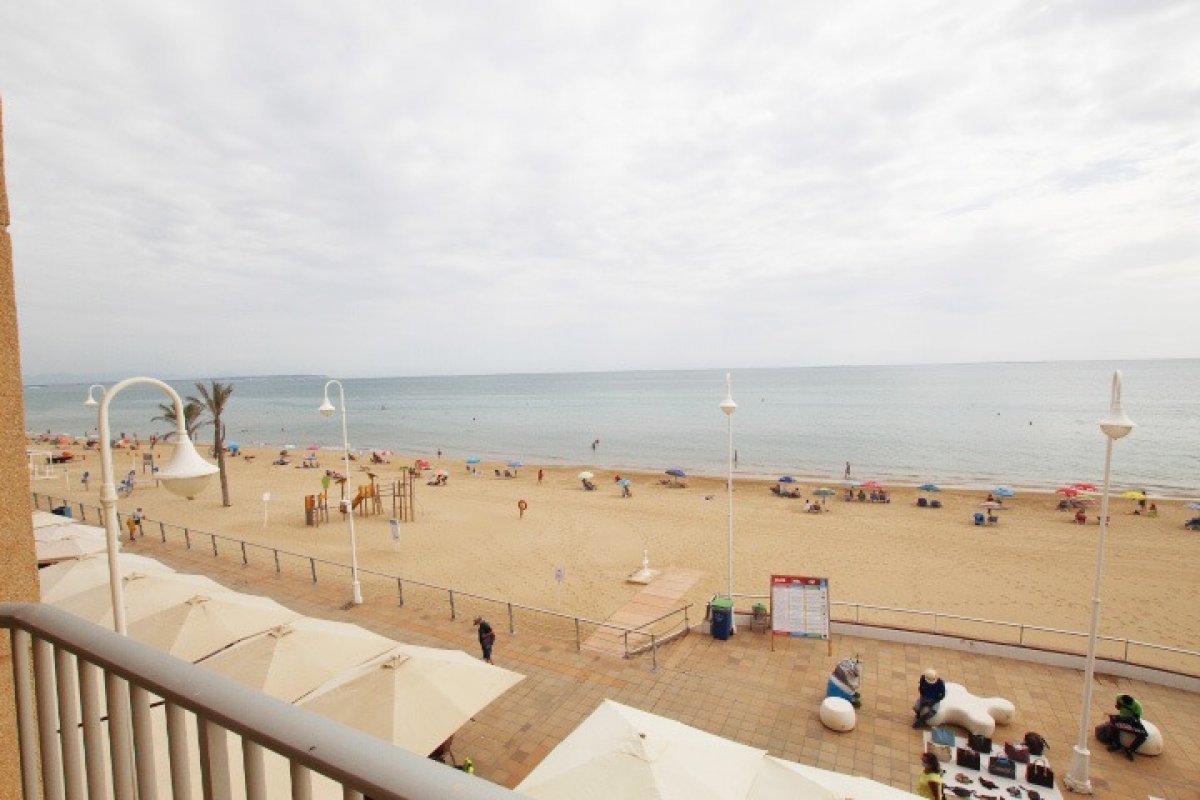 inmovilla-10527216-9