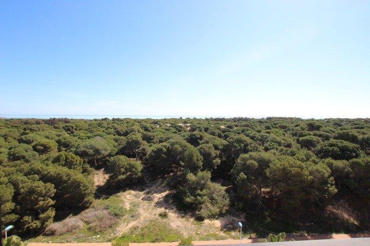 inmovilla-11666739-10