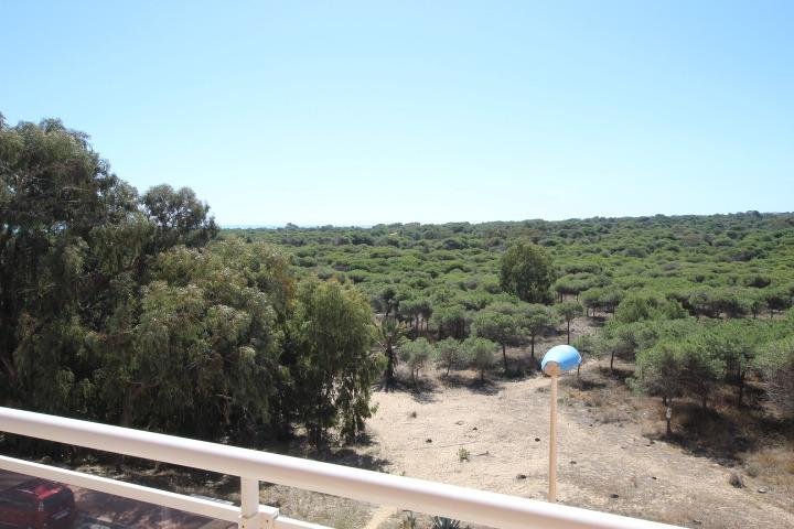 inmovilla-18466637-2