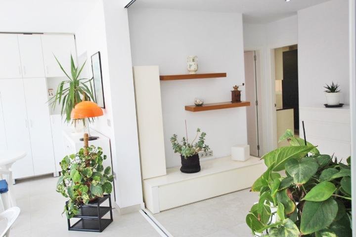 inmovilla-24708372-8-1