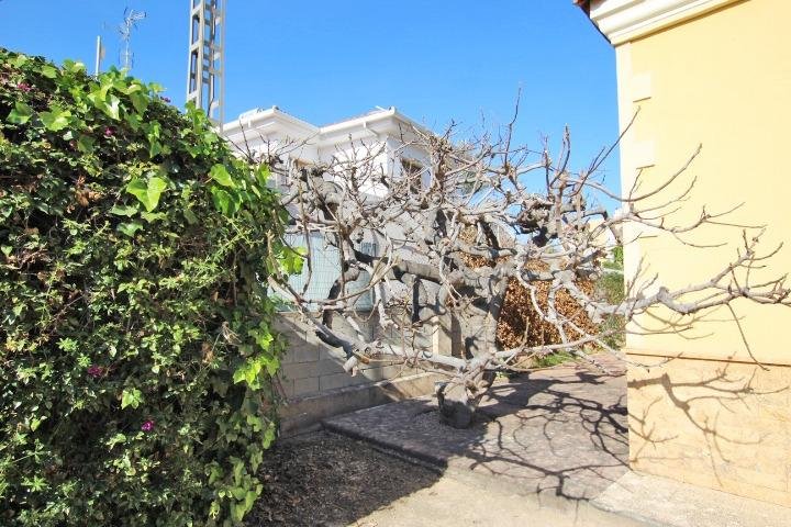 Árboles y vegetación en un entorno urbano