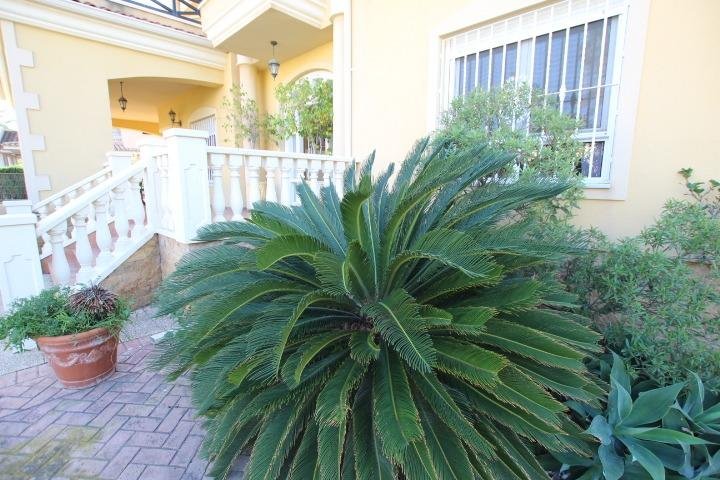 Planta verde en jardín