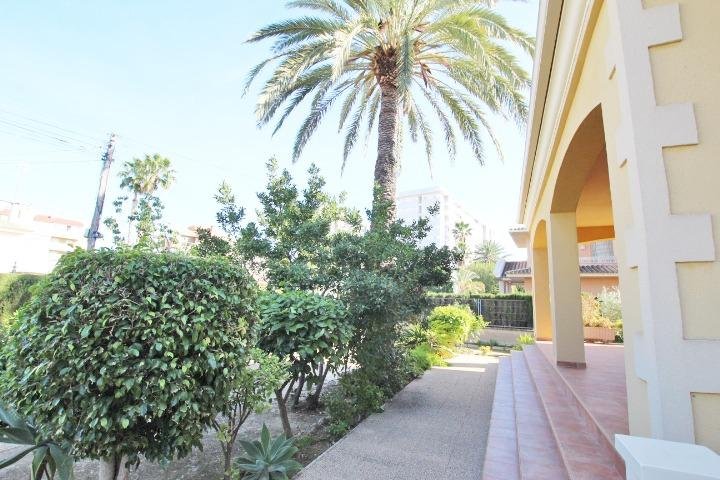 Jardín con palmera y vegetación
