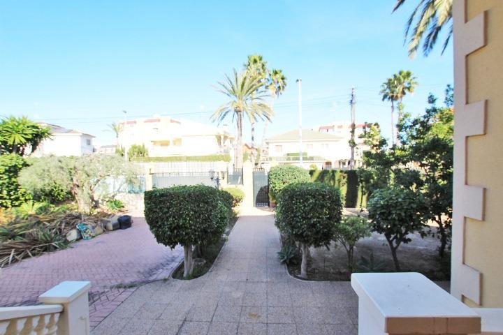 Jardín con palmeras y arbustos