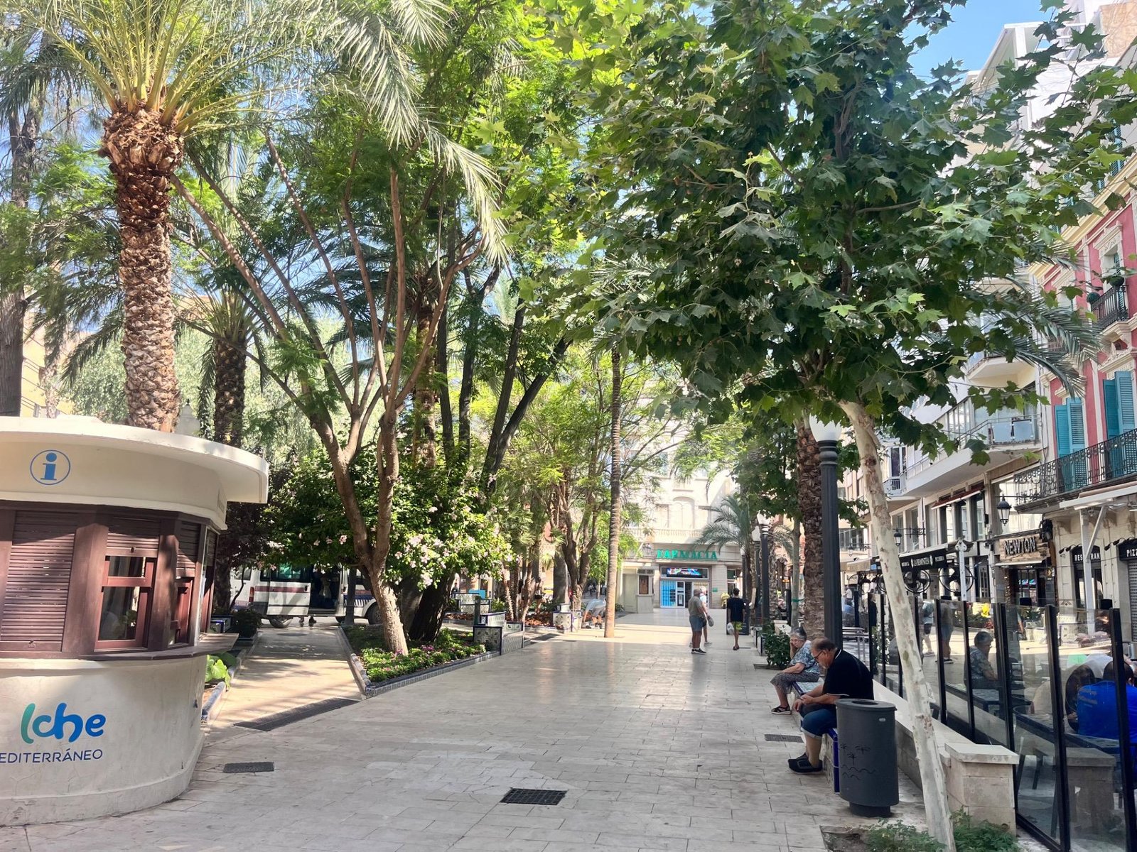 Paseo arbolado en la ciudad