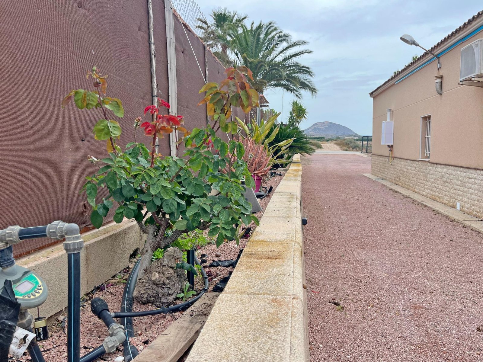 inmovilla-29001244-10
