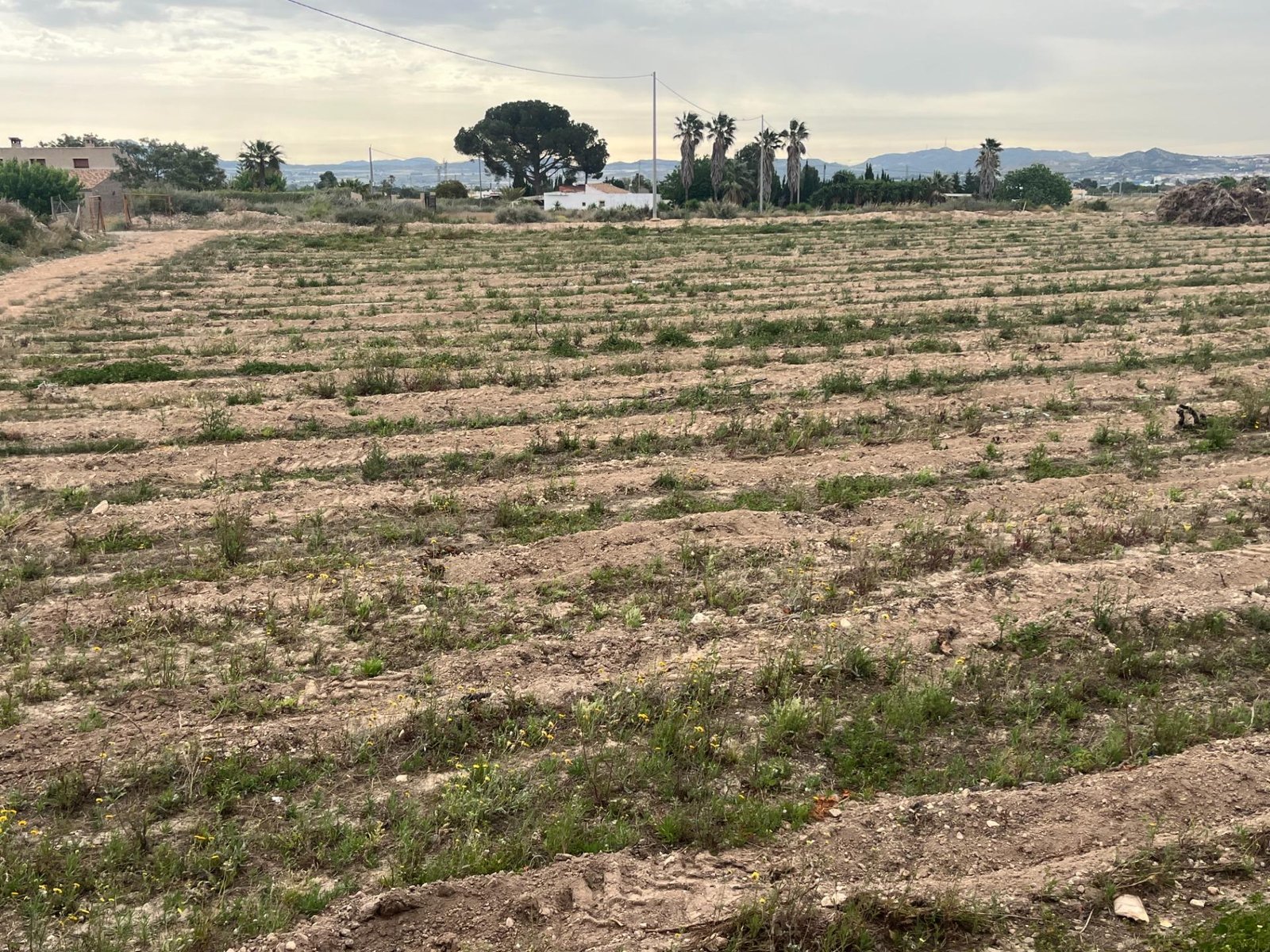 inmovilla-29001244-9