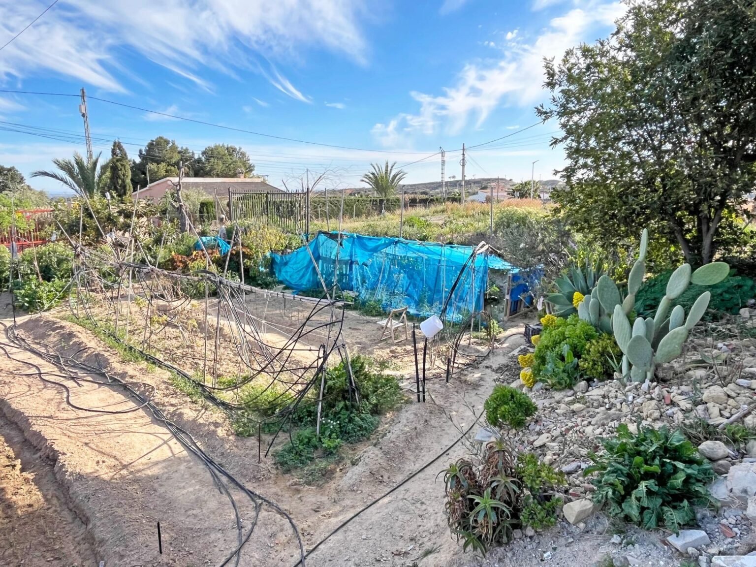 inmovilla-29019225-16-1