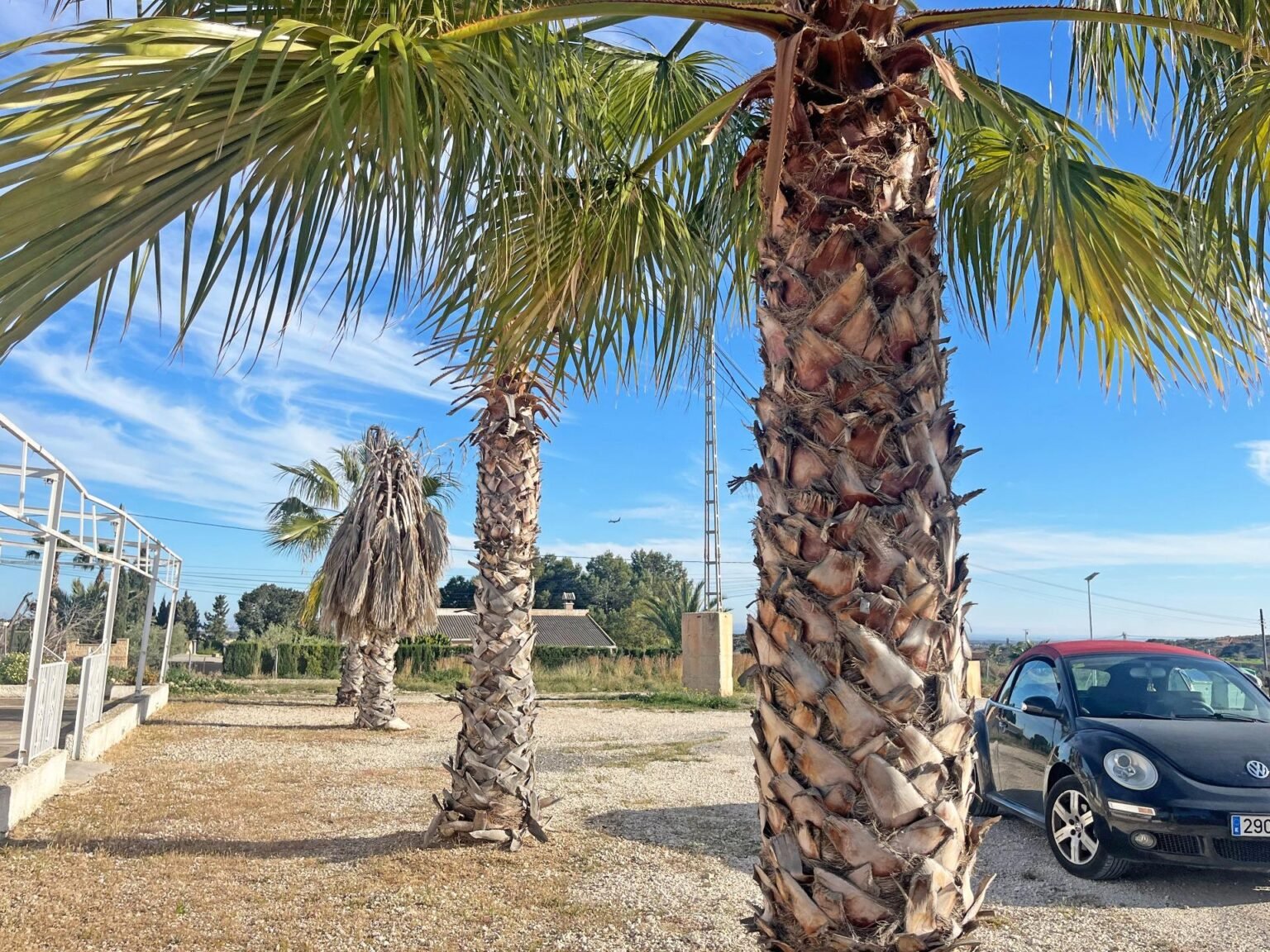 inmovilla-29019225-25-1