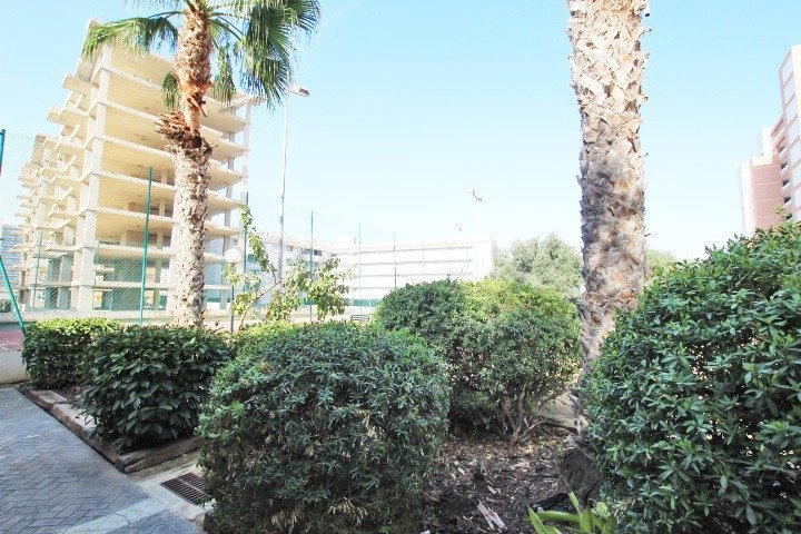 Jardines y edificios urbanos