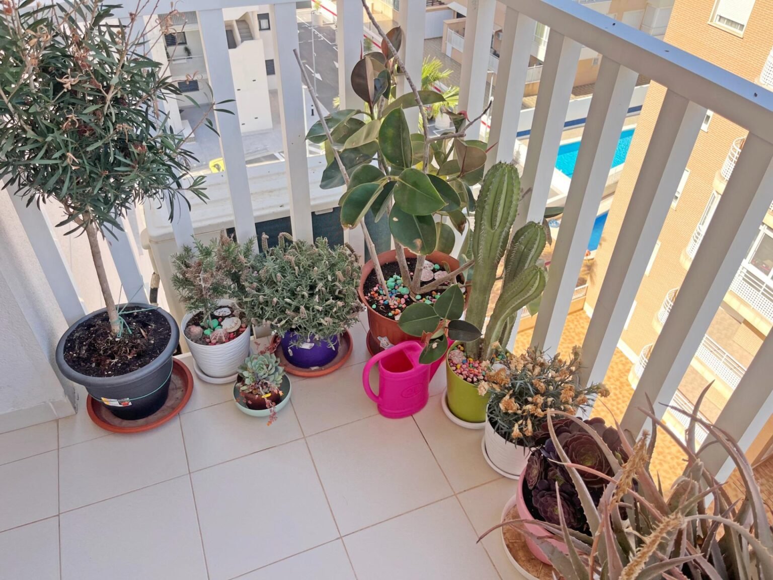 Balcony con variadas plantas