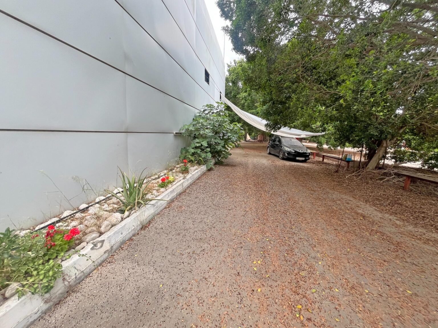 Camino junto a un edificio