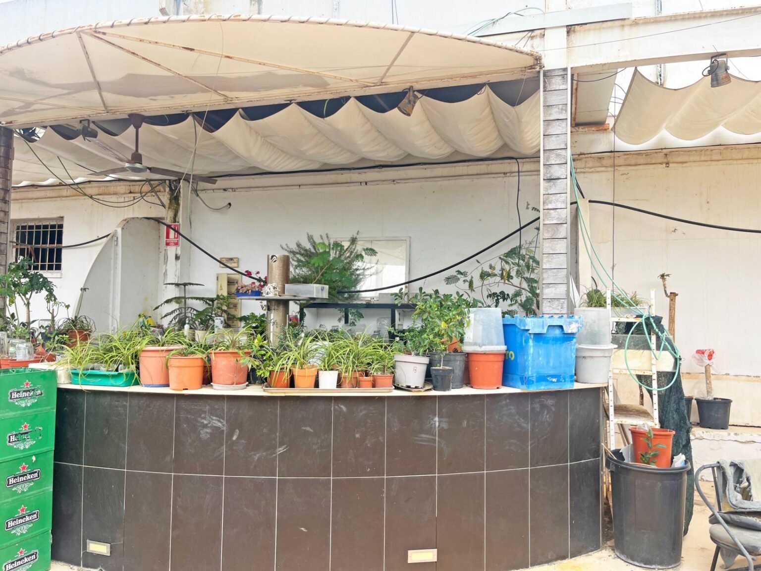 Zona de plantas y jardinería