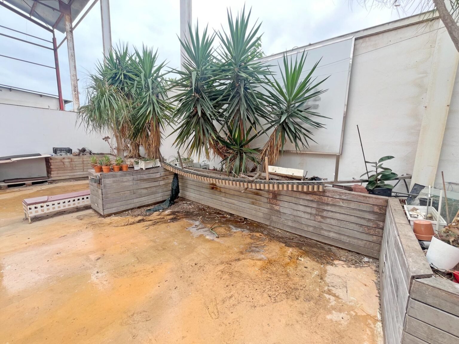 Jardín con plantas y espacio en uso