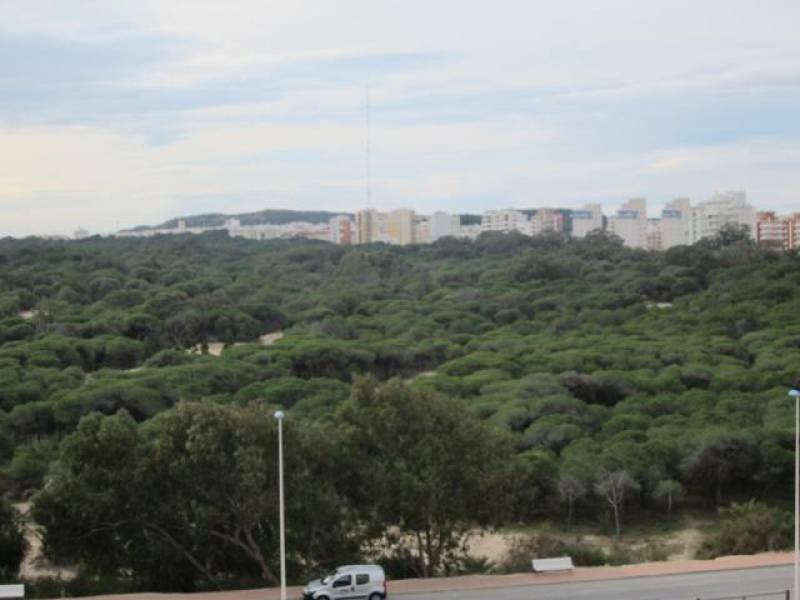 inmovilla-3483196-14