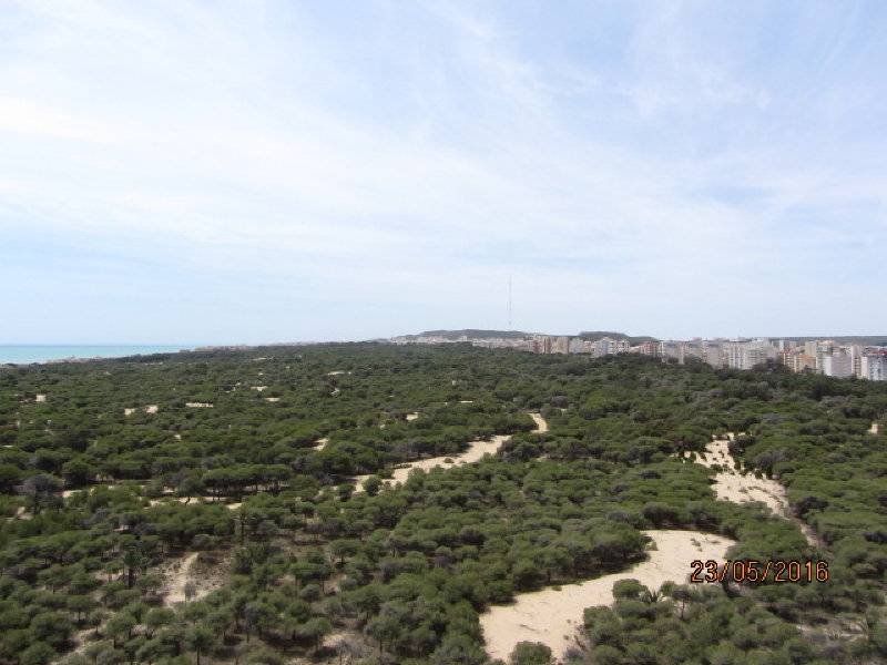 inmovilla-3806525-29