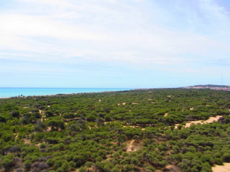 inmovilla-3806525-31