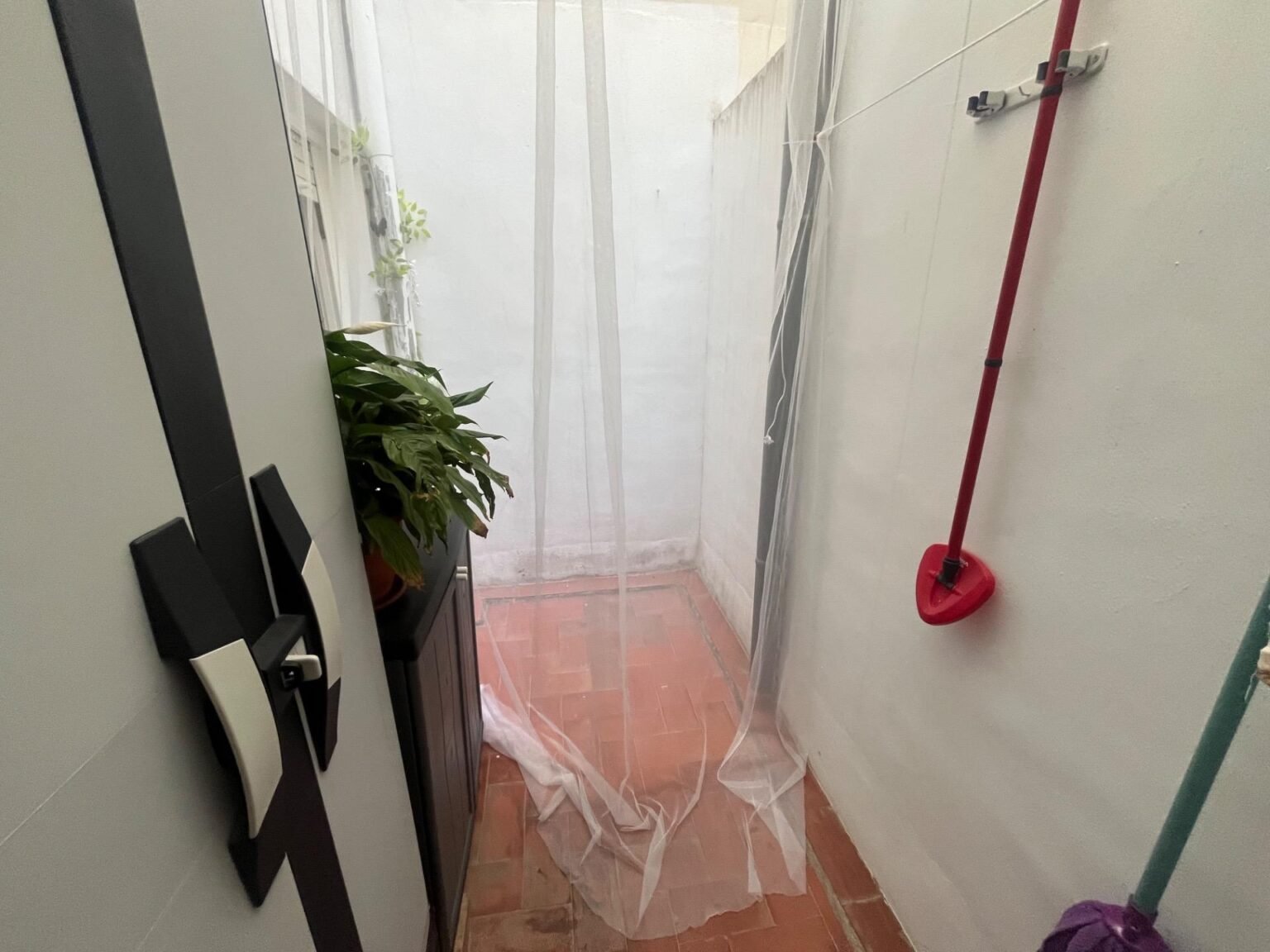 Pasillo con cortina y plantas