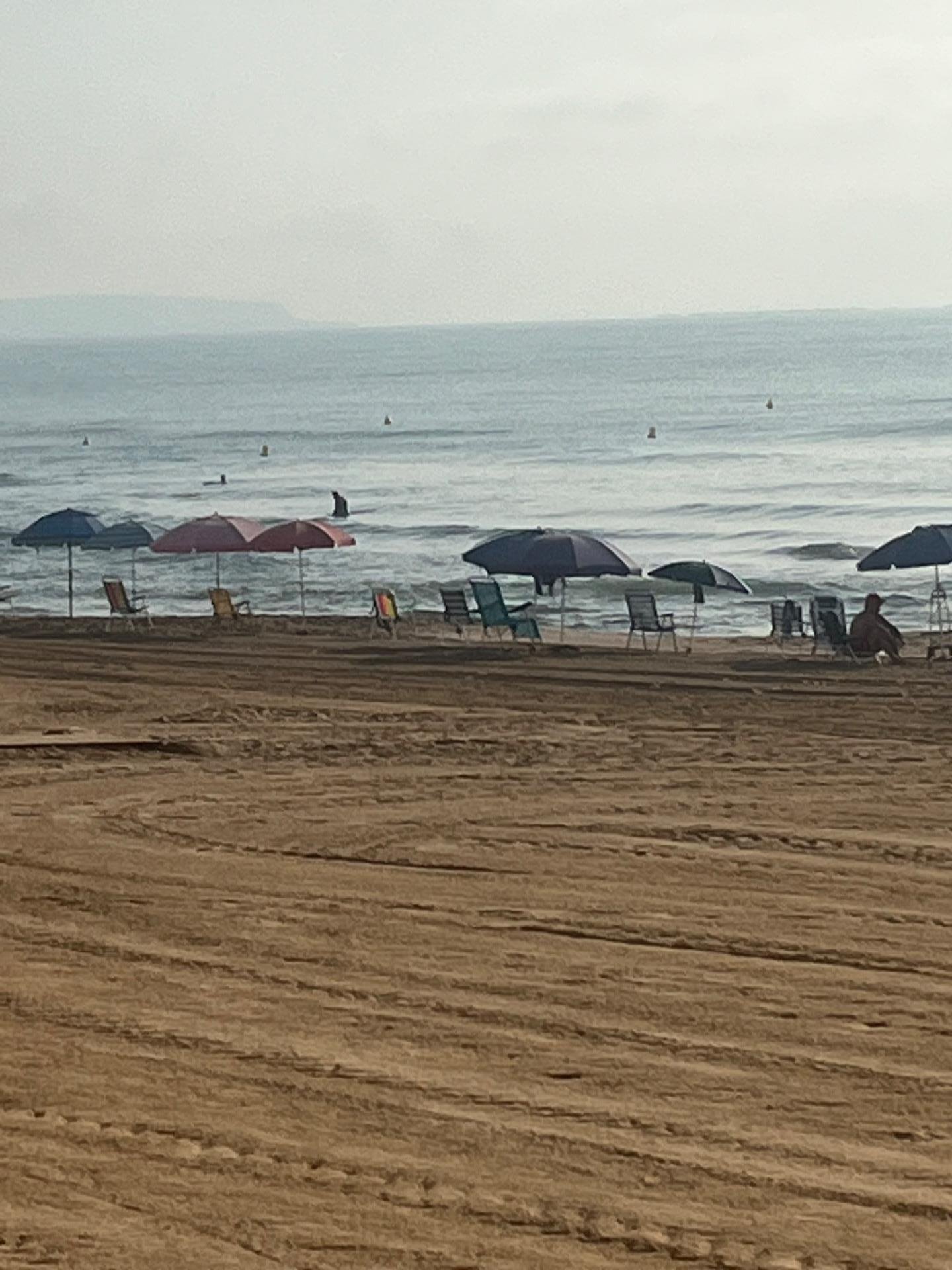Playa con sombrillas y surfistas