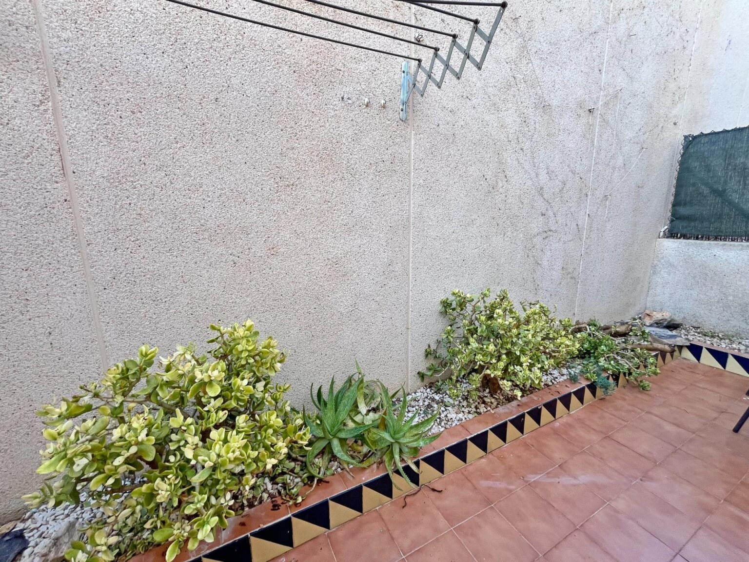 Jardín con plantas suculentas
